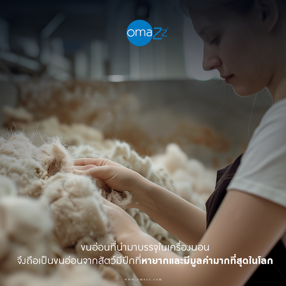 oz-20240412-discover-eider-duck-down-d04-0