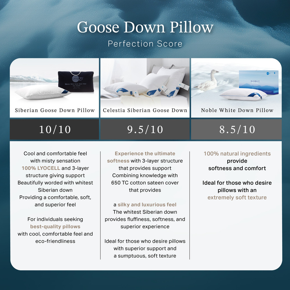 en-goose-pillow-content-eng-05-0