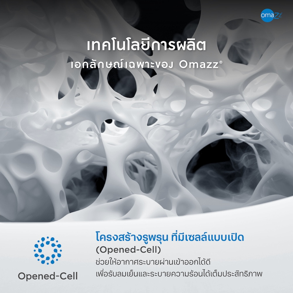 folante-info-09
