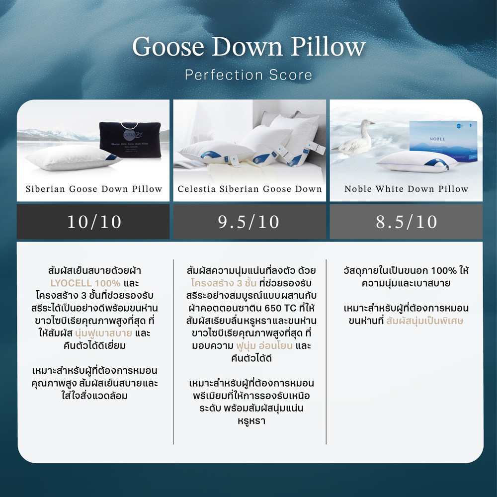 goose-pillow-content-05