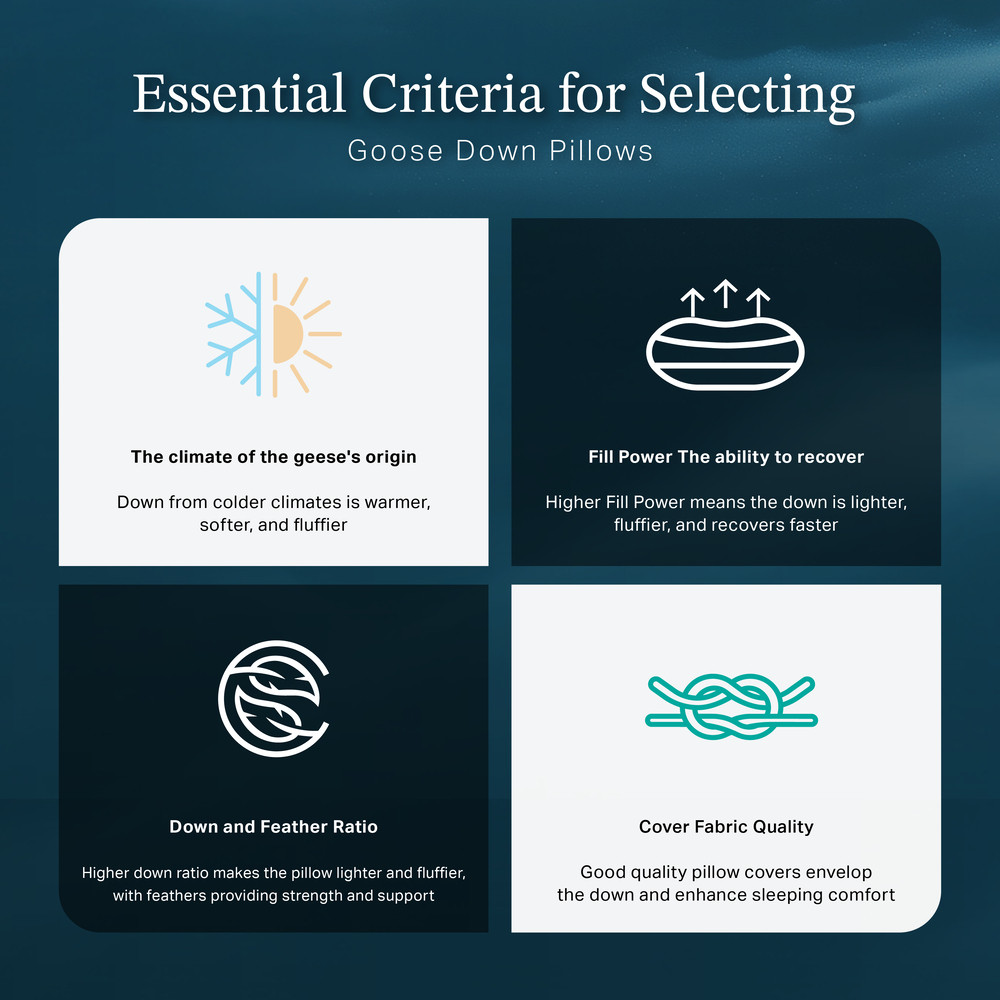 en-goose-pillow-content-eng-03-0