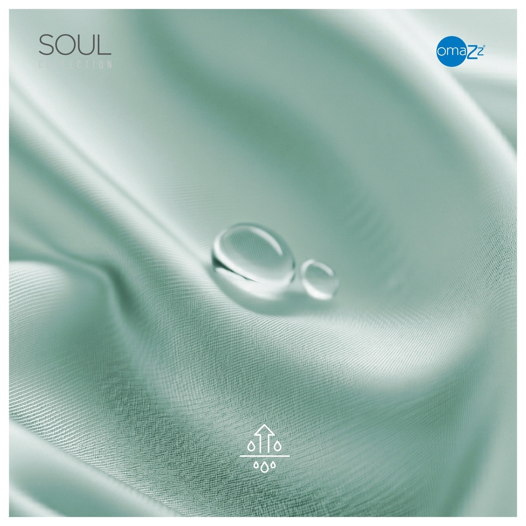soul-update-260529-3