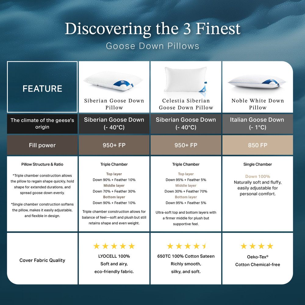 en-goose-pillow-content-eng-04-0