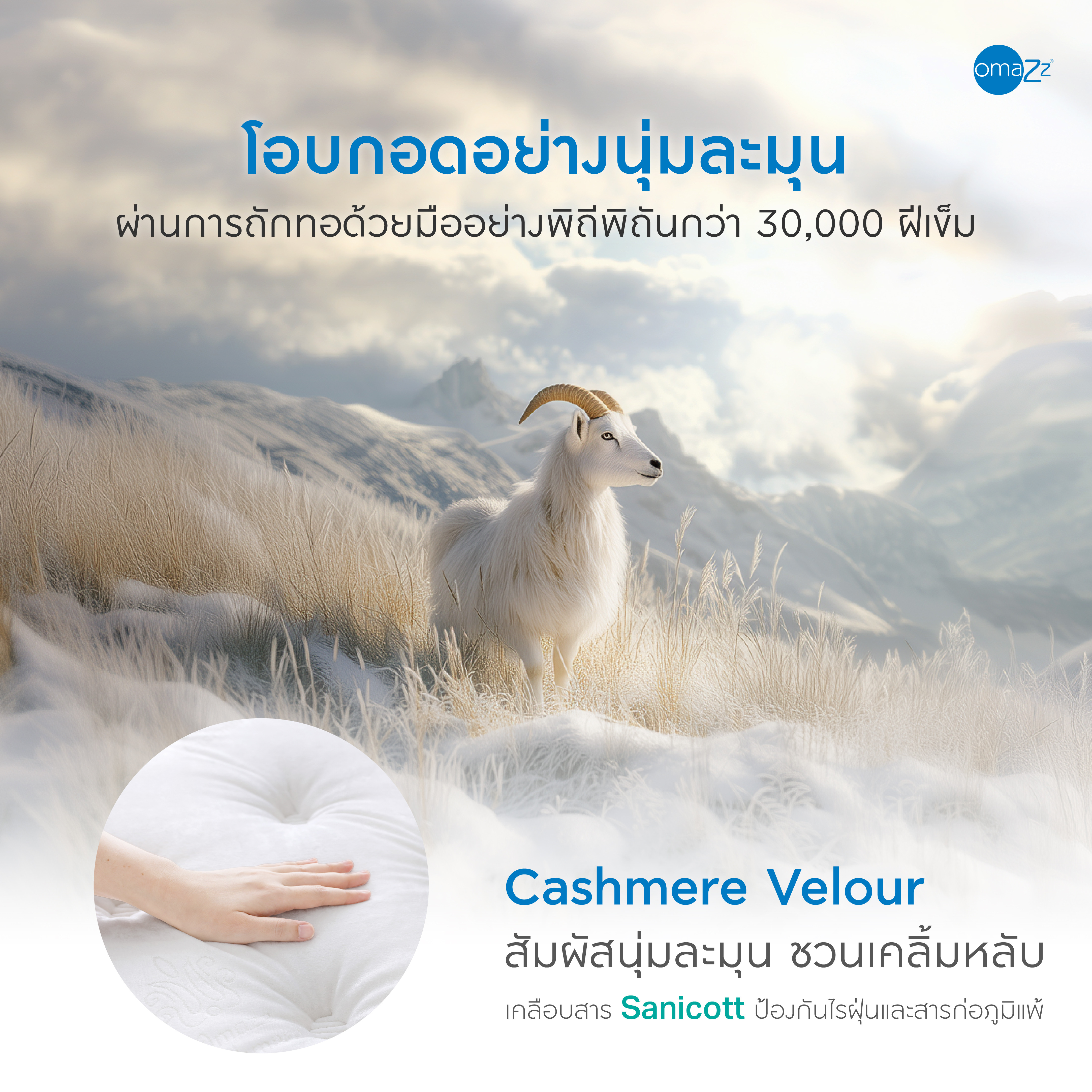 grand-fairmont-info-17