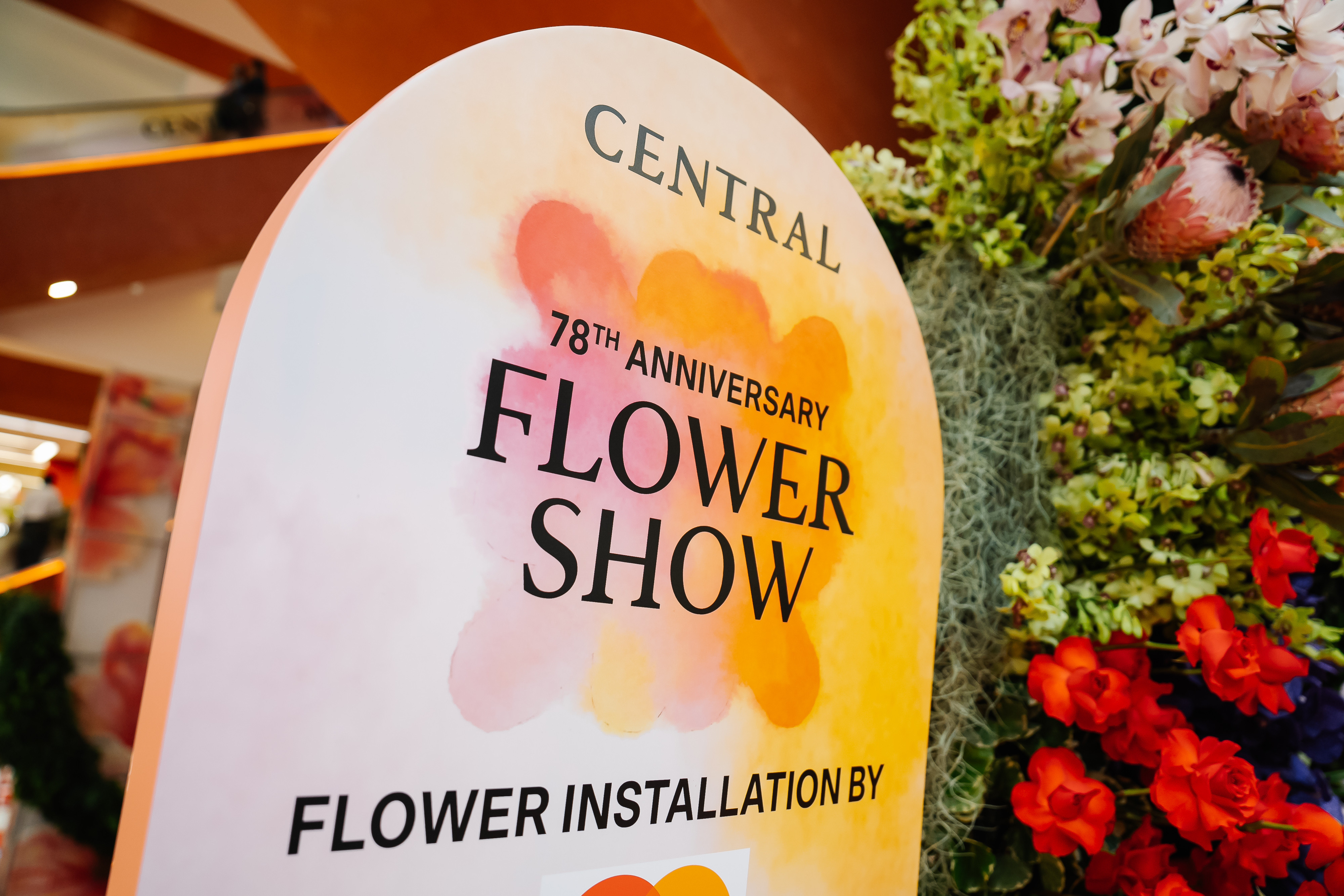 omazz-velvet-flower-workshop08