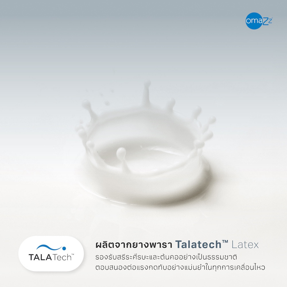 arctic-talatech-pillow-info-02