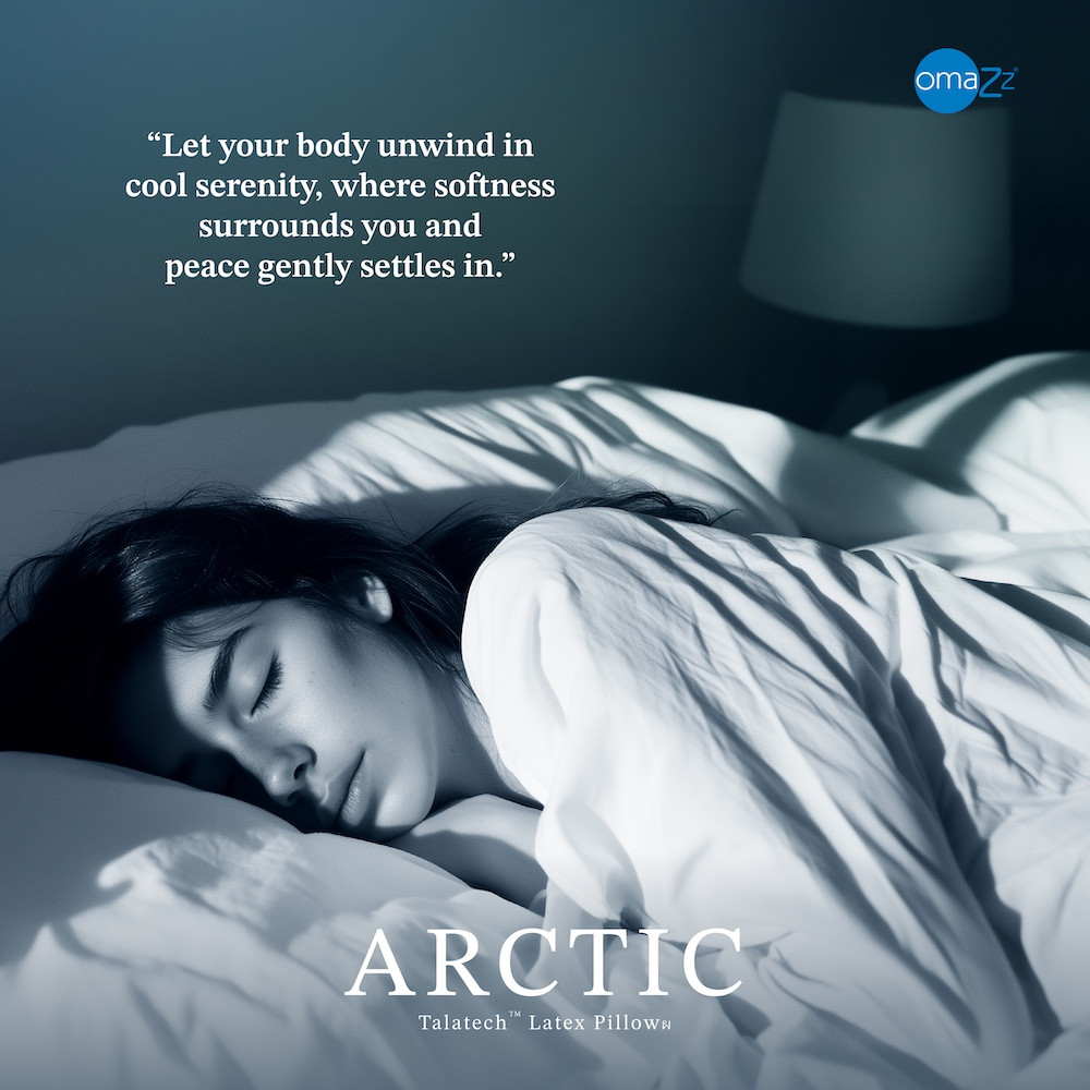 arctic-talatech-pillow-info-01